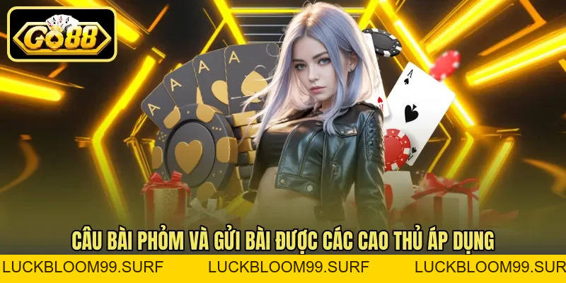 Câu Bài Phỏm Và Gửi Bài Cuối Trận Để Giảm Điểm Chi Tiết Câu Bài Phỏm Và Gửi Bài Cuối Trận Để Giảm Điểm Chi Tiết